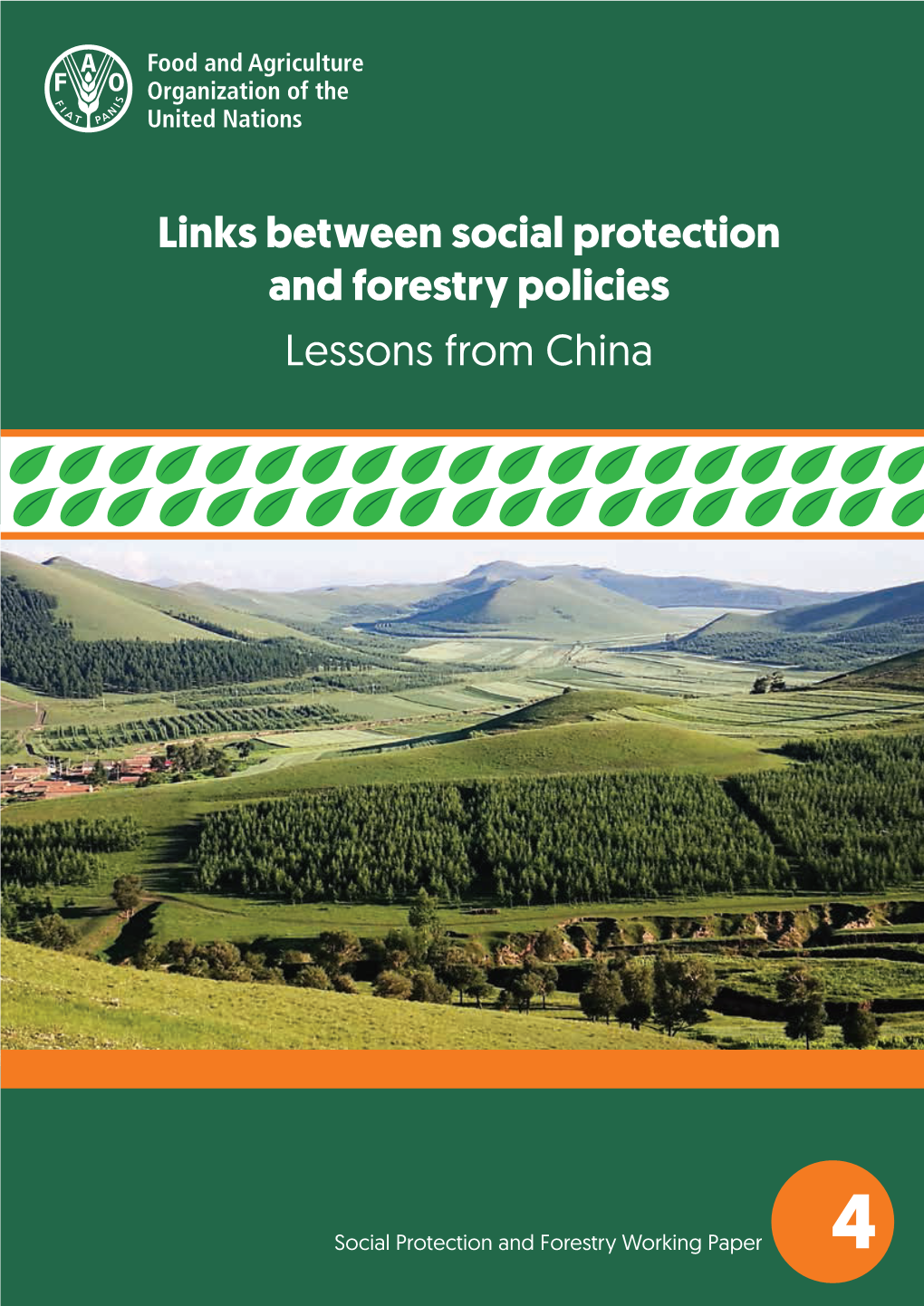 Links Between Social Protection and Forestry Policies: Lessons from China