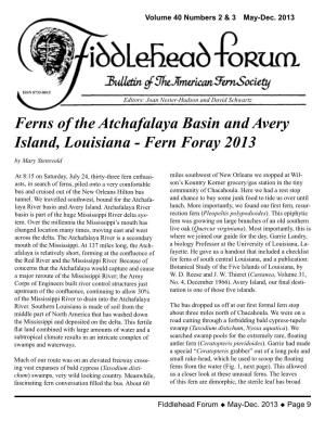 Ferns of the Atchafalaya Basin and Avery Island, Louisiana - Fern Foray 2013 by Mary Stensvold