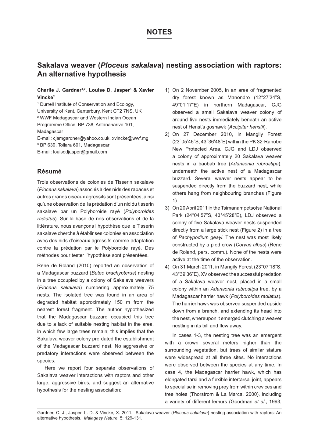 Sakalava Weaver (Ploceus Sakalava) Nesting Association with Raptors: an Alternative Hypothesis