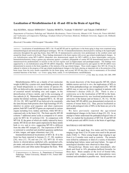 Localization of Metallothioneins-I & -II and -III in the Brain of Aged