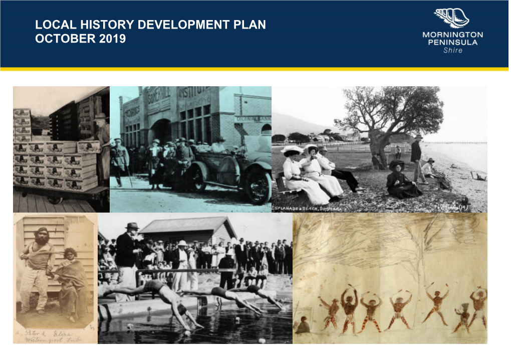 Local History Development Plan October 2019