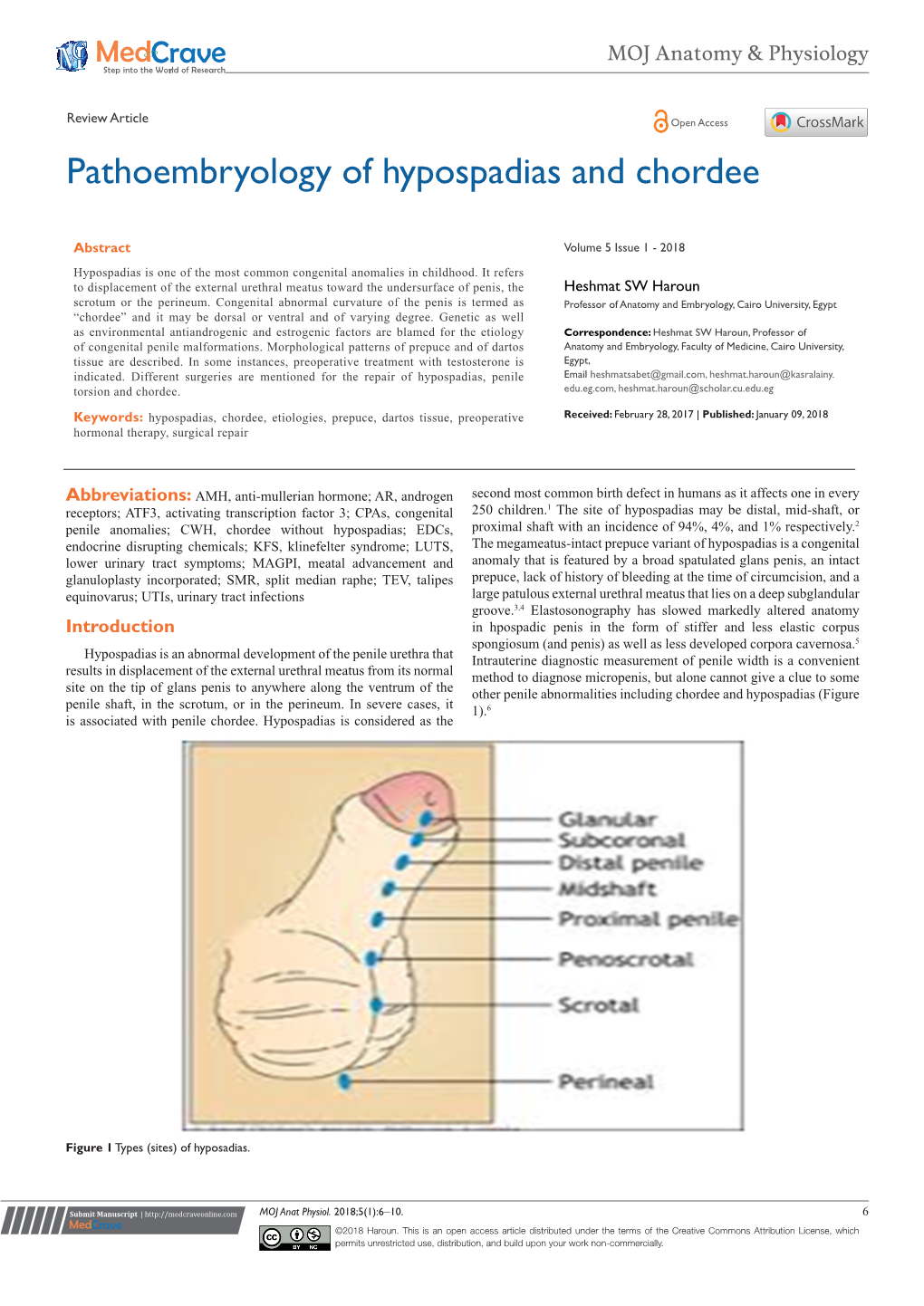 Pathoembryology of Hypospadias and Chordee