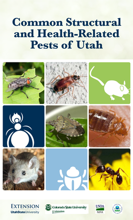 Common Structural and Health-Related Pests of Utah