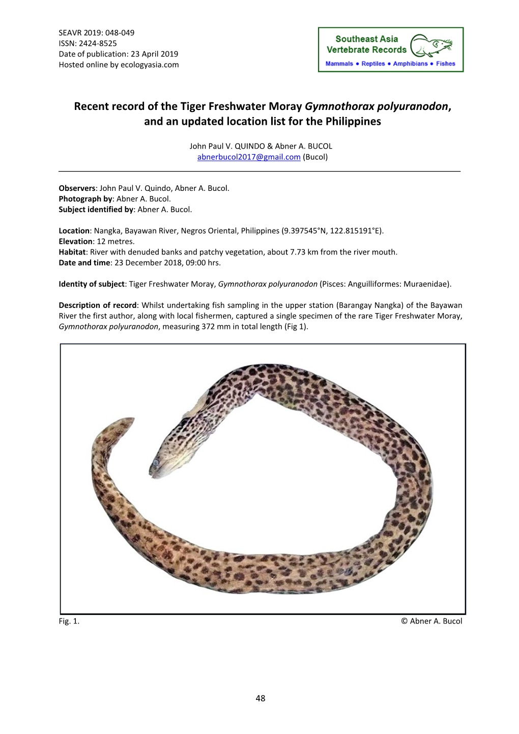 Recent Record of the Tiger Freshwater Moray Gymnothorax Polyuranodon, and an Updated Location List for the Philippines
