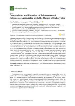 Composition and Function of Telomerase—A Polymerase Associated with the Origin of Eukaryotes