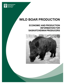 Wild Boar Production