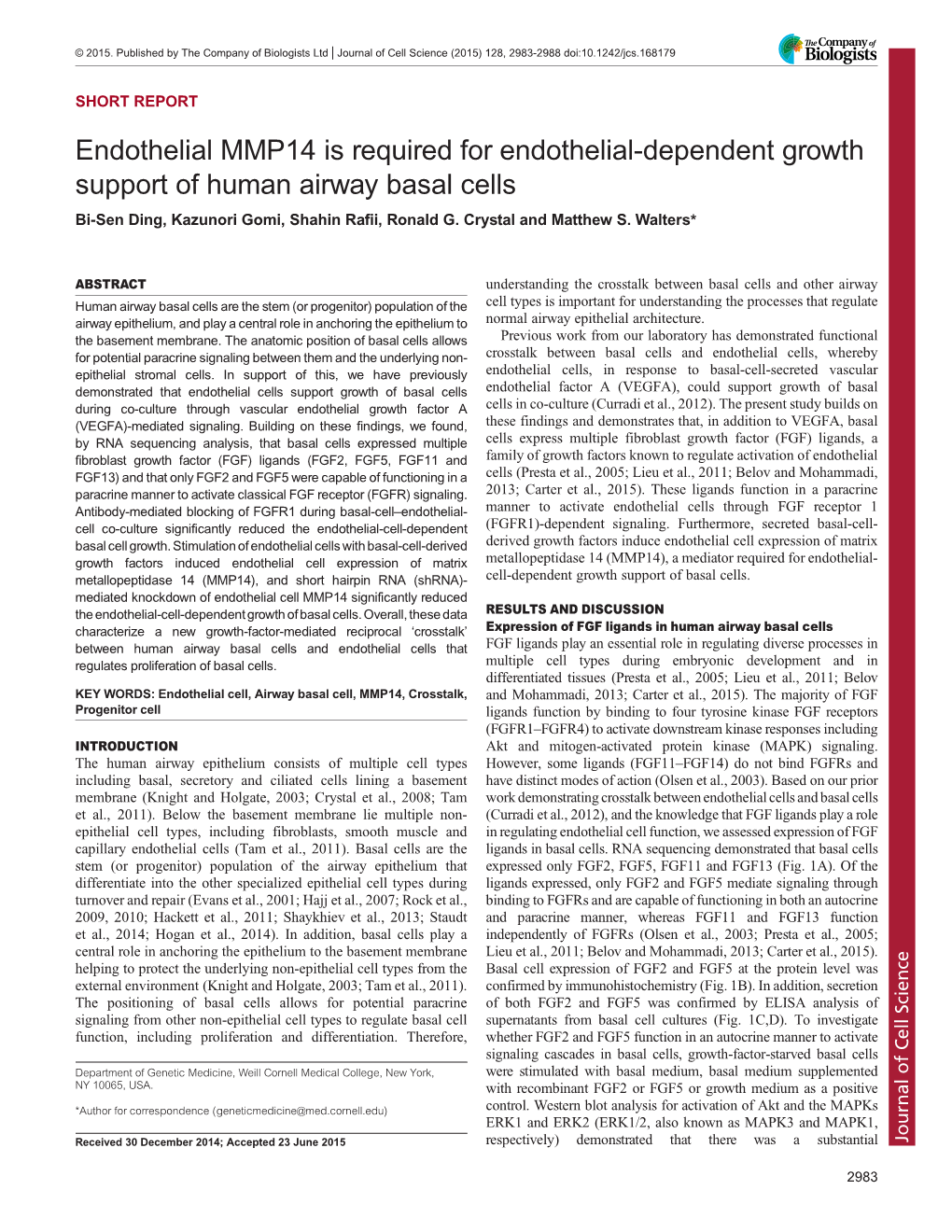 Endothelial MMP14 Is Required for Endothelial-Dependent Growth Support of Human Airway Basal Cells Bi-Sen Ding, Kazunori Gomi, Shahin Rafii, Ronald G