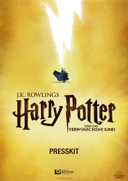 Harry Potter Und Das Verwunschene Kind Eine Riesige Und Komplexe Produktion Geworden