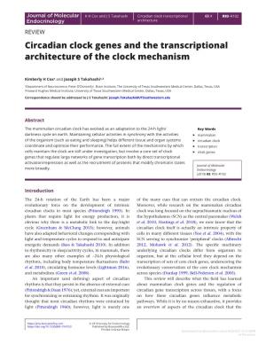 Circadian Clock Genes and the Transcriptional Architecture of the Clock Mechanism