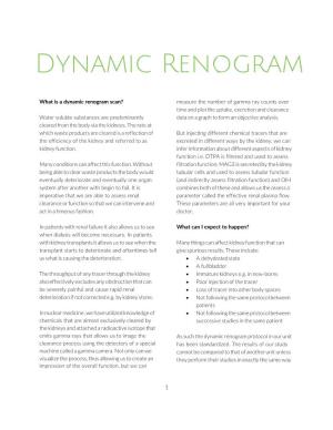 Dynamic Renogram