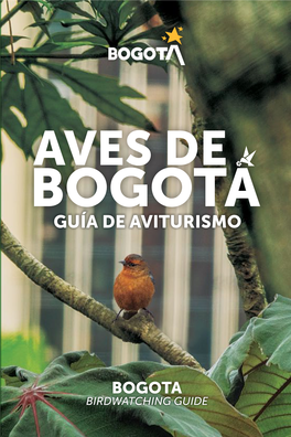 Aves De Bogotá a Guía De Aviturismo Bogota Birdwatching Guide Bogota Birdwatching Guide Descubre La Capital De Las Aves