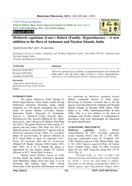 Molineria Capitulata (Lour.) Hebert (Family: Hypoxidaceae) – a New Addition to the Flora of Andaman and Nicobar Islands, India