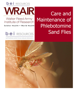 Care and Maintenance of Phlebotomine Sand Flies