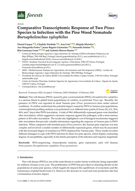 Comparative Transcriptomic Response of Two Pinus Species to Infection with the Pine Wood Nematode Bursaphelenchus Xylophilus