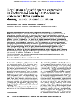 Regulation of Pyrbi Operon Expression Reiterative RNA Synthesis During