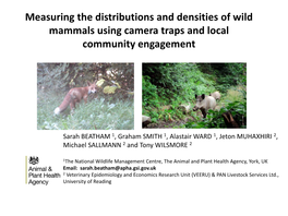 Measuring the Distributions and Densities of Wild Mammals In