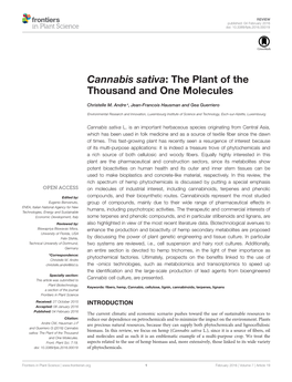 Cannabis Sativa: the Plant of the Thousand and One Molecules