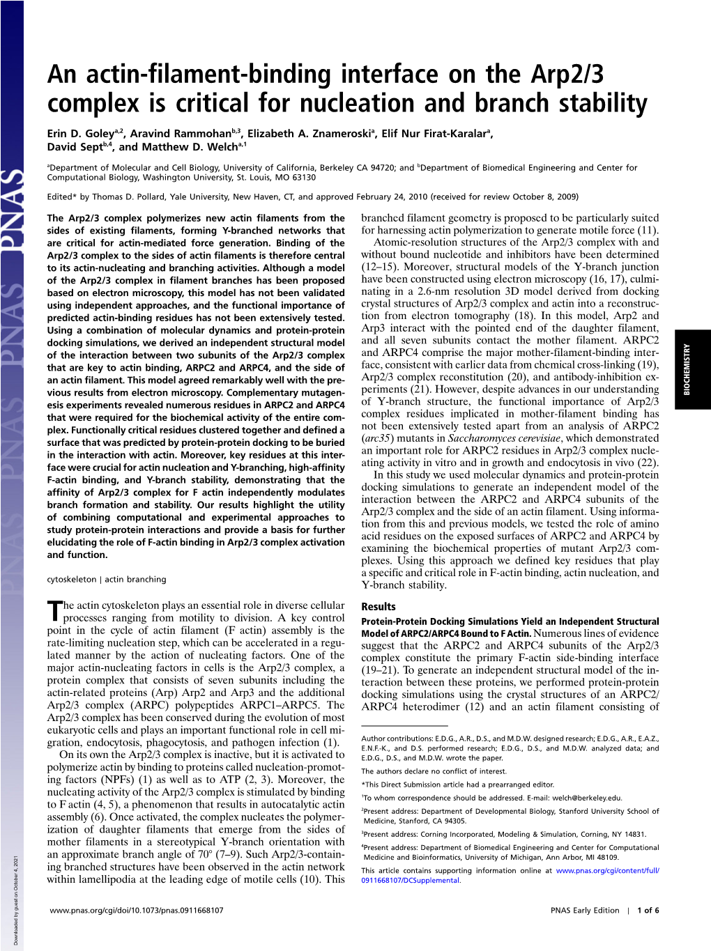 An Actin-Filament-Binding Interface on the Arp2/3 Complex Is Critical for Nucleation and Branch Stability