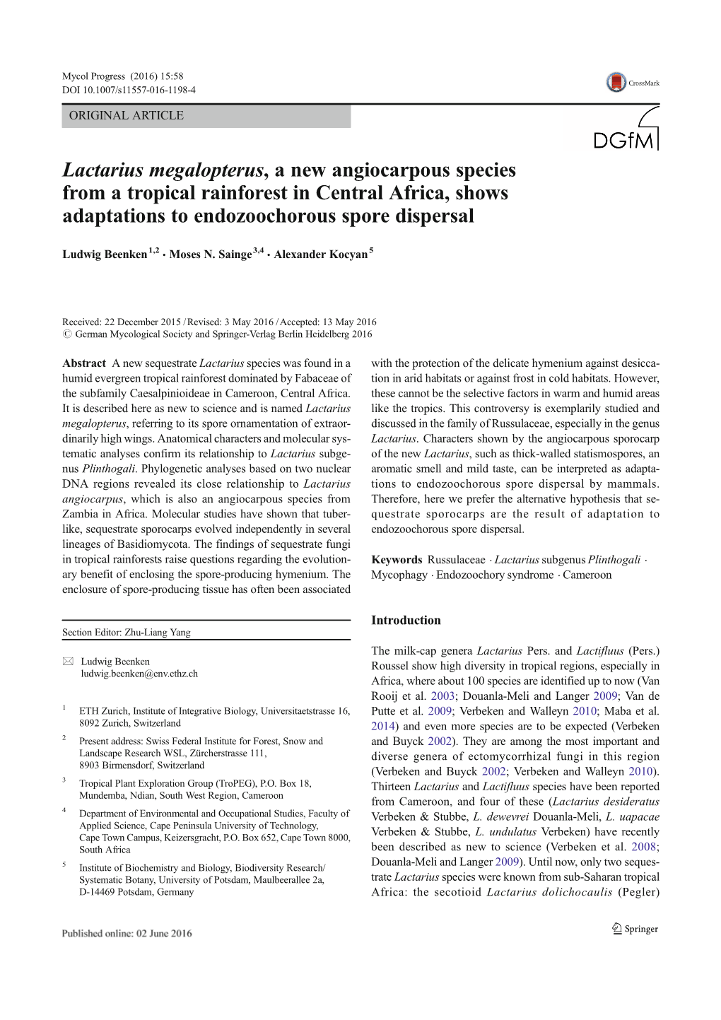 Lactarius Megalopterus, a New Angiocarpous Species from A