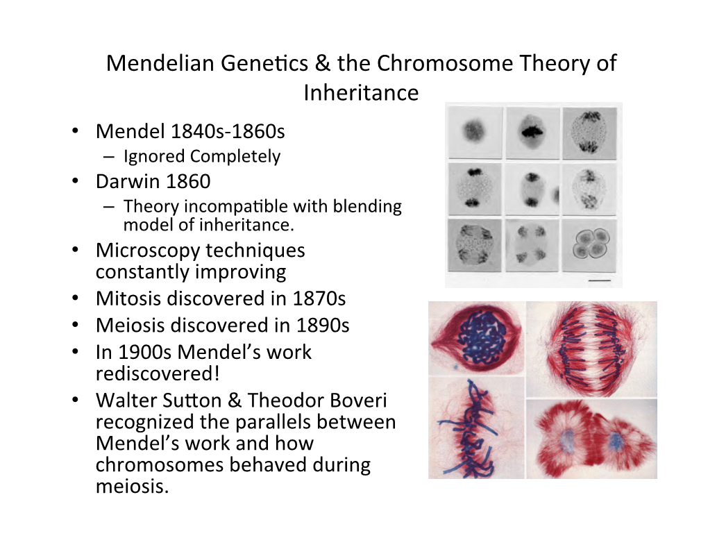 Mendelian Gene[Cs & the Chromosome Theory of Inheritance
