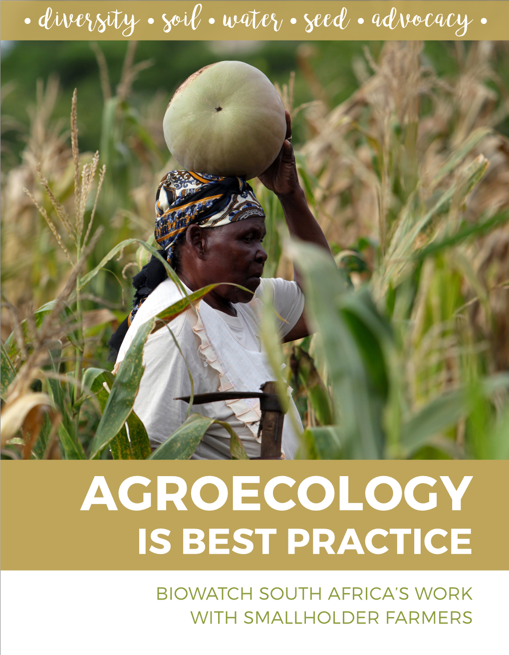 Agroecology Is Best Practice
