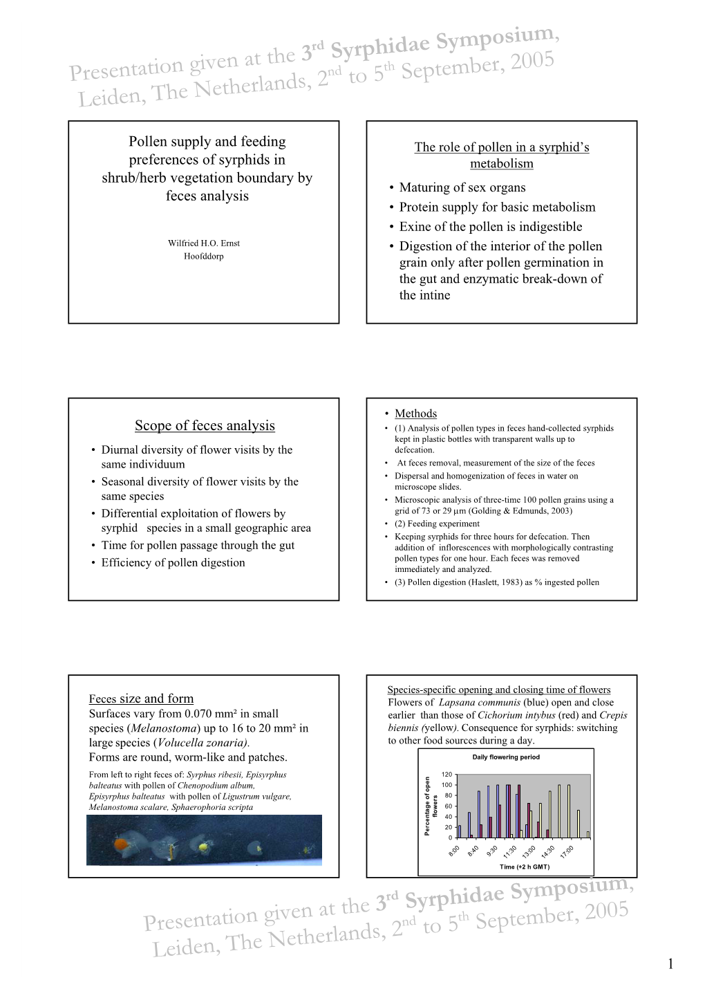 Presentation Given at the 3Rd Syrphidae