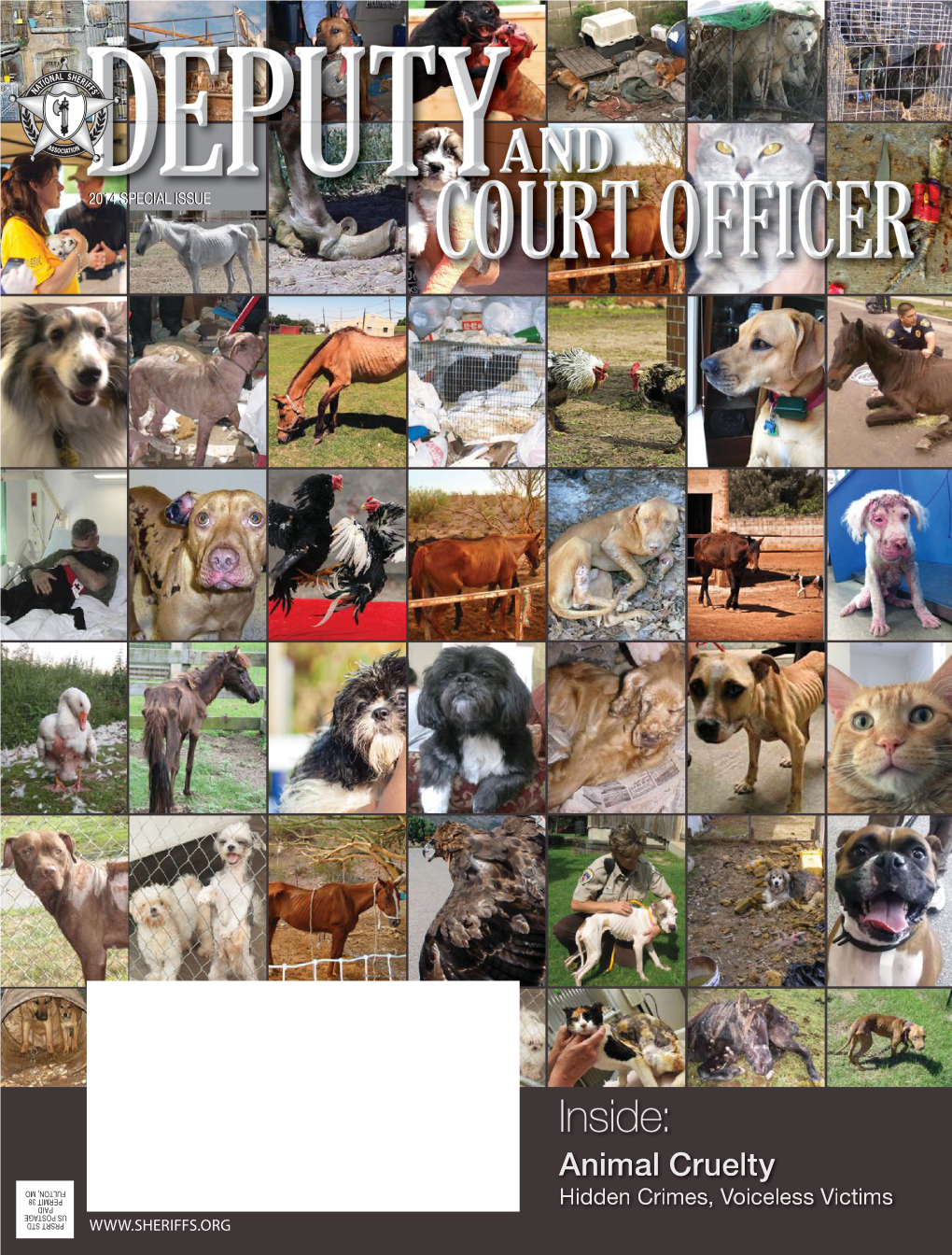 Animal-Cruelty-Issue.Pdf