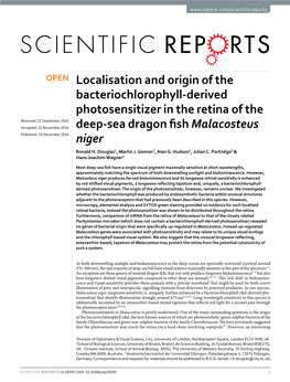 Localisation and Origin of the Bacteriochlorophyll