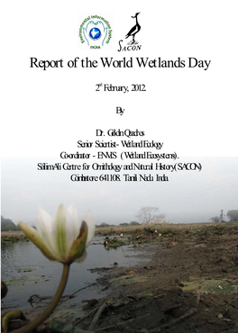 Wetland Report