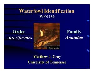 Waterfowl Identification WFS 536