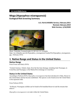 Hypsophrys Nicaraguensis) Ecological Risk Screening Summary