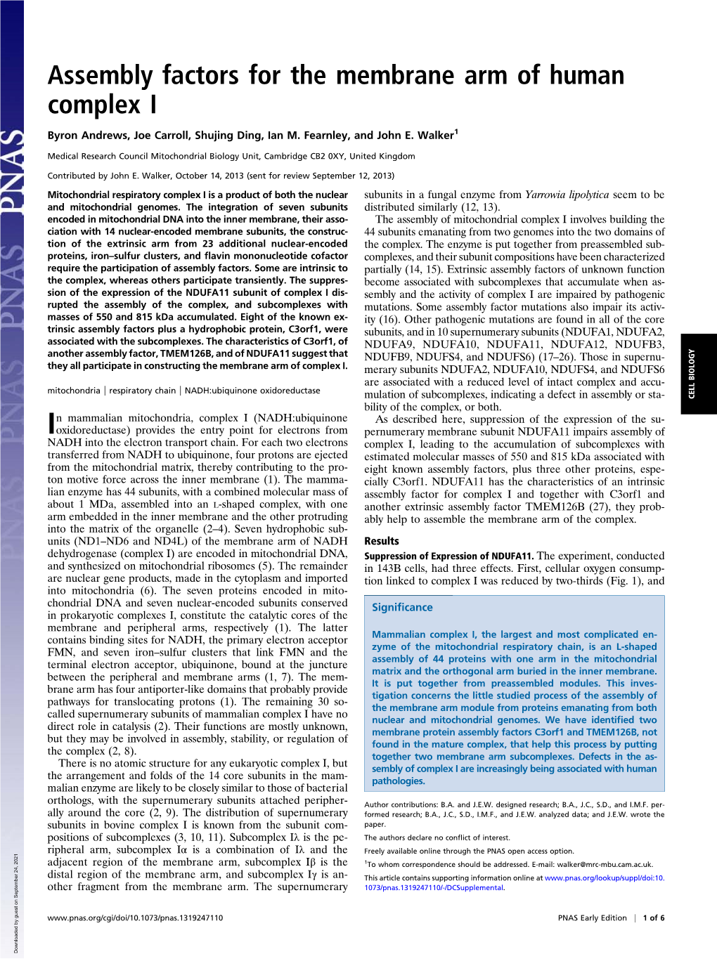 Assembly Factors for the Membrane Arm of Human Complex I