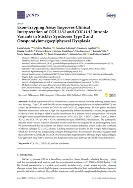 Exon-Trapping Assay Improves Clinical Interpretation of COL11A1 and COL11A2 Intronic Variants in Stickler Syndrome Type 2 and Otospondylomegaepiphyseal Dysplasia