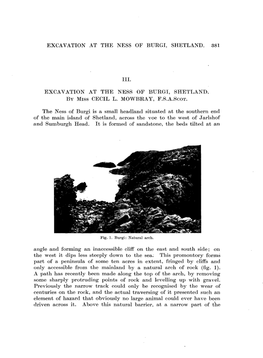 Excavation at the Ness of Burgi, Shetland. 381