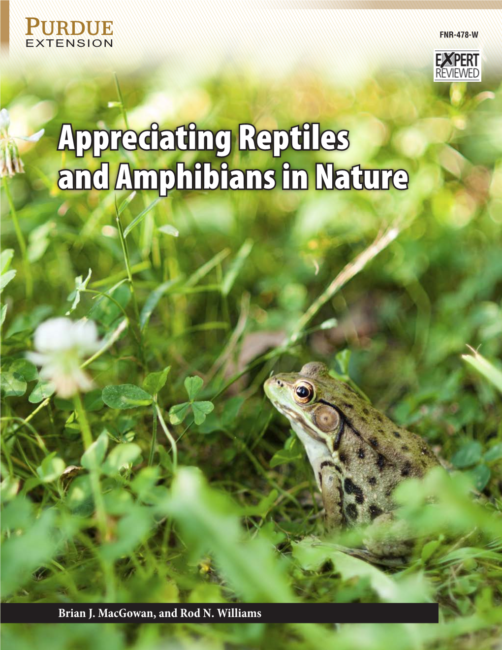 Appreciating Reptiles and Amphibians in Nature