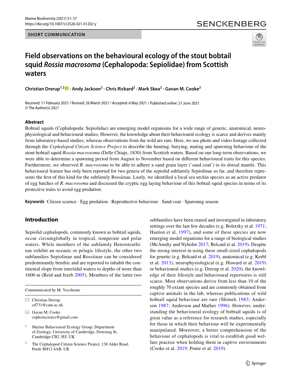 Field Observations on the Behavioural Ecology of the Stout Bobtail Squid Rossia Macrosoma (Cephalopoda: Sepiolidae) from Scottish Waters