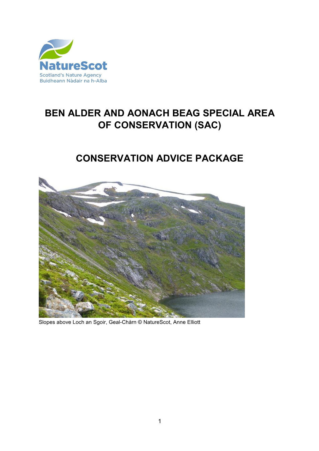 Ben Alder and Aonach Beag Special Area of Conservation (Sac) Conservation Advice Package