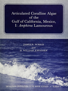Articulated Coralline Algae of the Gulf of California, Mexico, I: Amphiroa Lamouroux SERIES PUBLICATIONS of the SMITHSONIAN INSTITUTION