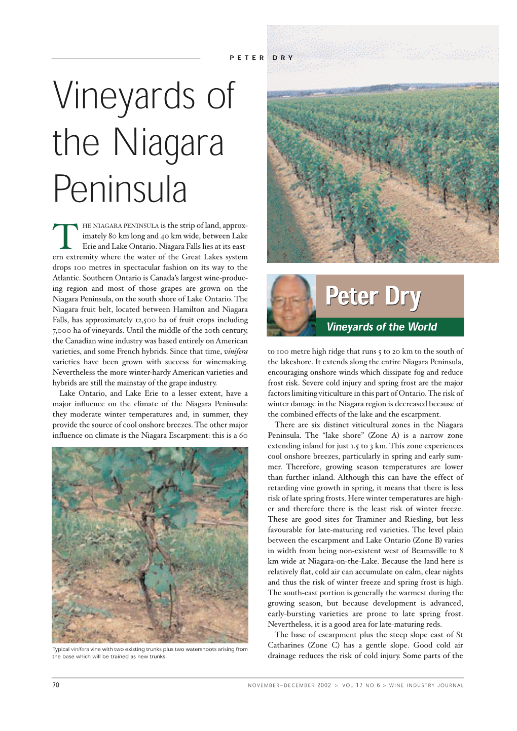 Vineyards of the Niagara Peninsula