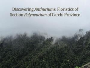 Anthuriums: Floristics of Section Polyneurium of Carchi Province