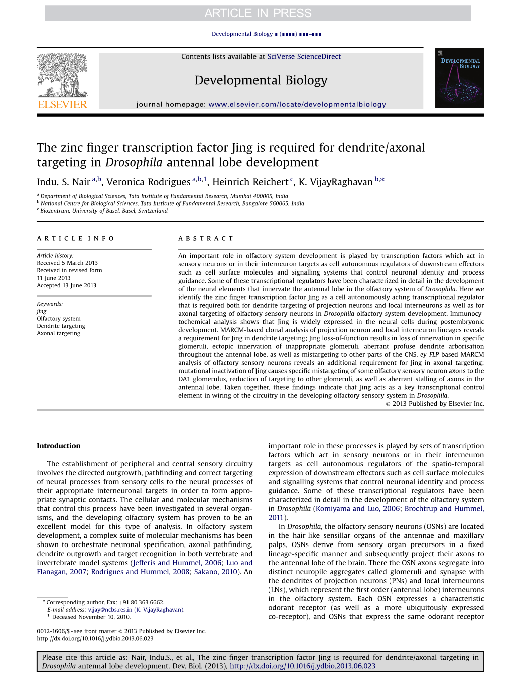 The Zinc Finger Transcription Factor Jing Is Required for Dendrite/Axonal