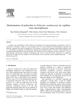 Determination of Psilocybin in Psilocybe Semilanceata by Capillary Zone Electrophoresis