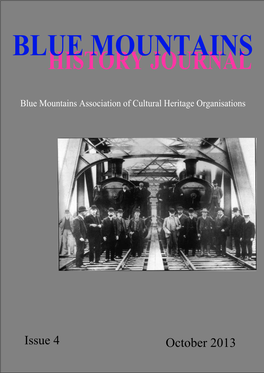 History Journal 4: 2013