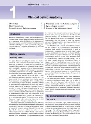 Clinical Pelvic Anatomy