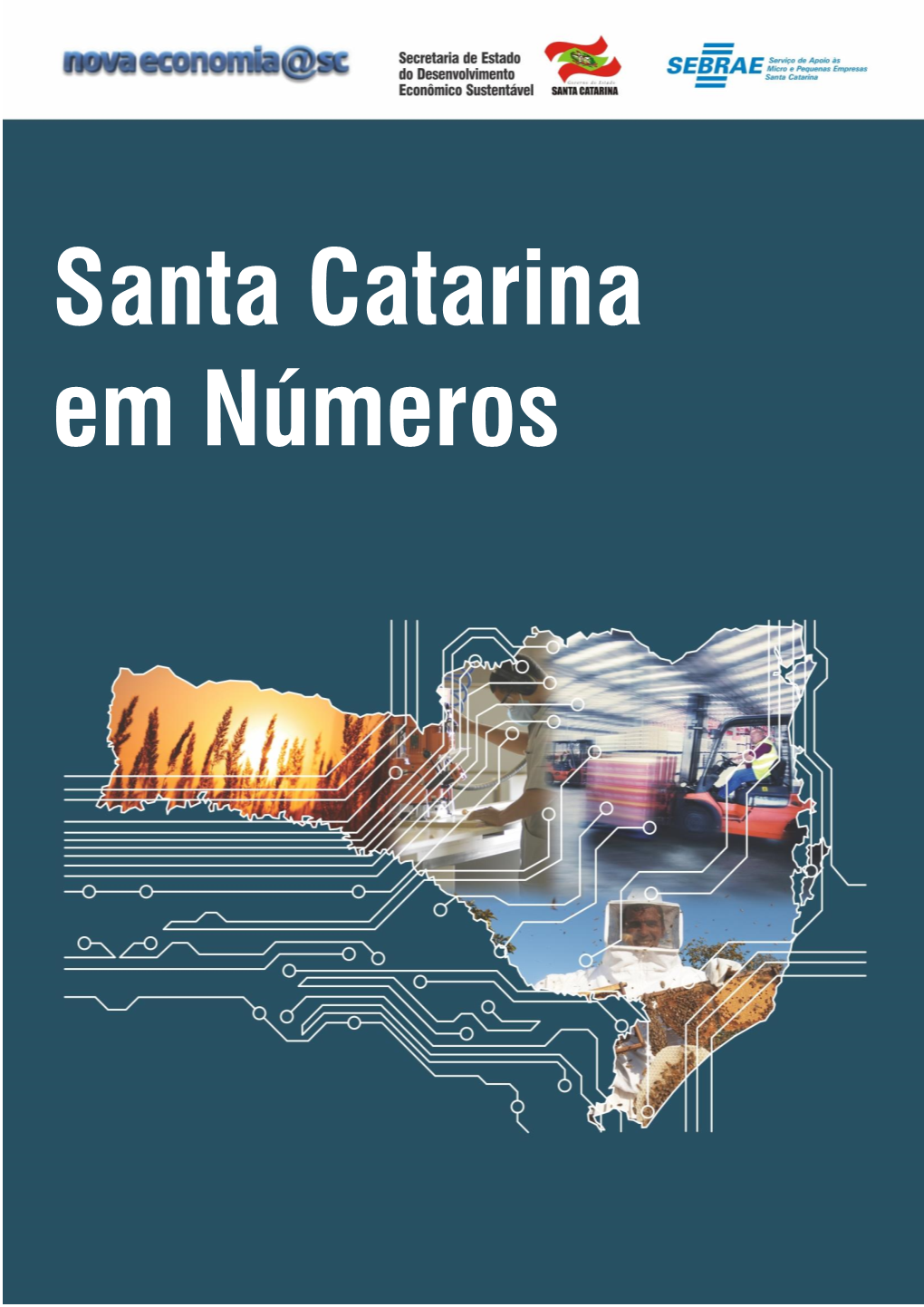 Santa Catarina Em Números