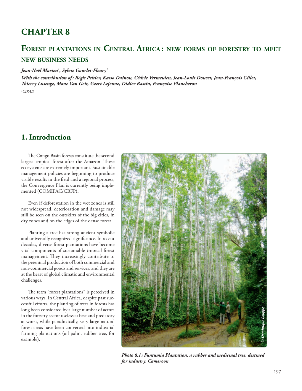 Forest Plantations in Central Africa