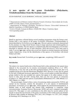 A New Species of the Genus Terebellides (Polychaeta, Trichobranchidae) from the Iranian Coast