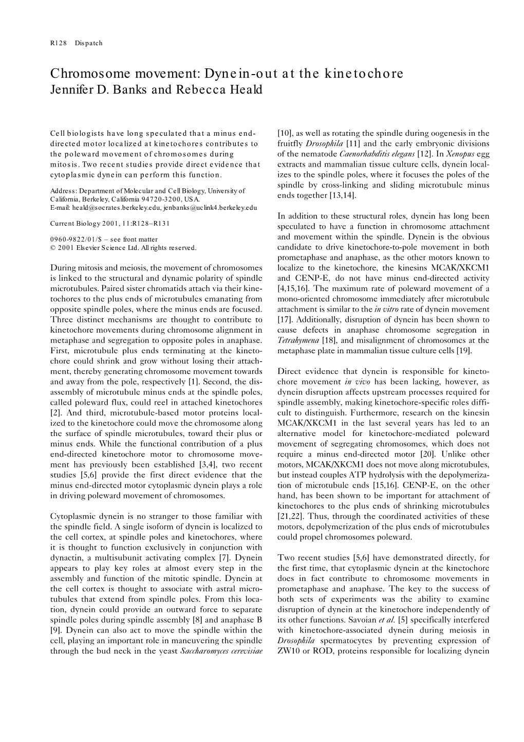 Chromosome Movement: Dynein-Out at the Kinetochore Jennifer D