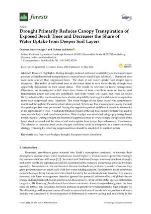 Drought Primarily Reduces Canopy Transpiration of Exposed Beech Trees and Decreases the Share of Water Uptake from Deeper Soil Layers