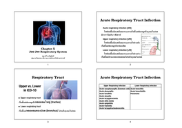 Upper Vs. Lower in ICD-10